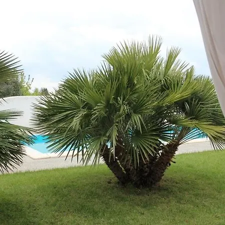 Trullo Iris Villa *